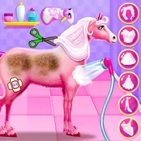 Prinzessin Pferdepflege
